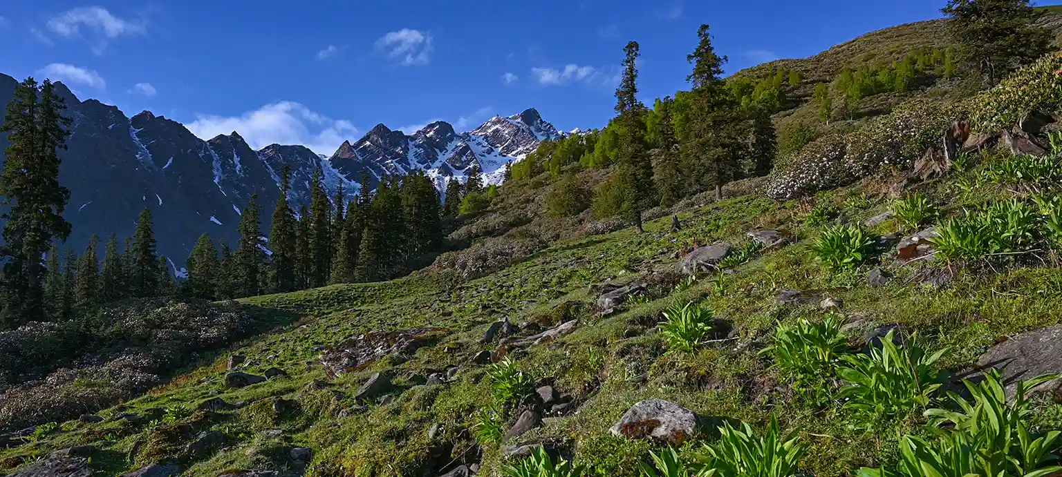 Sar Pass Trek